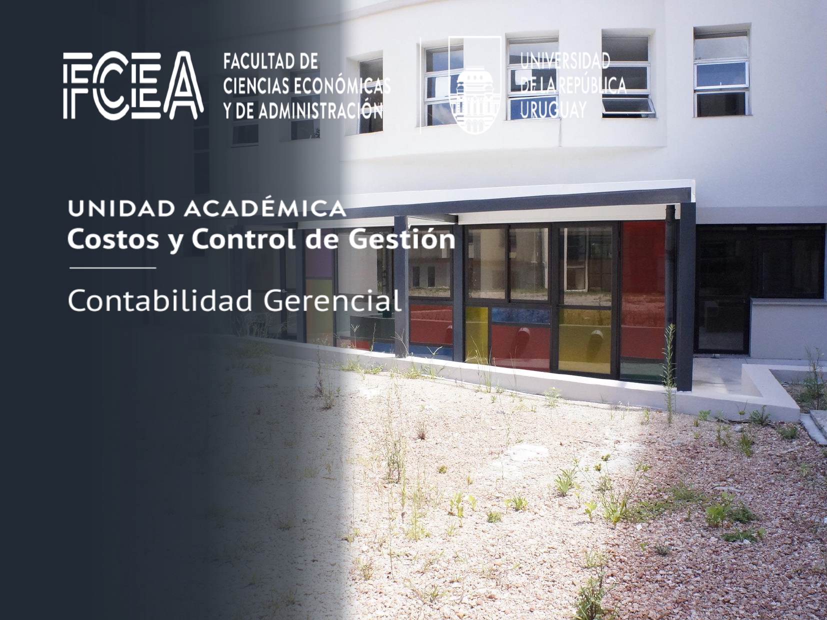 Https://eva.fcea.udelar.edu.uy : Resultados De La Búsqueda